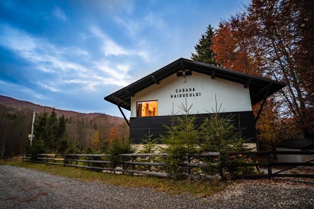 Cabana Haiducului Tesila Exterior photo